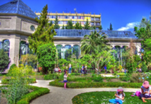 Ботанічний сад у Будапешті: історія та цікаві місця