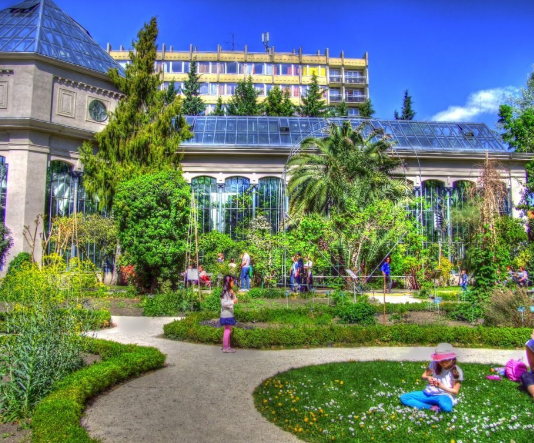 Ботанічний сад у Будапешті: історія та цікаві місця