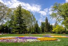 Історія озеленення Будапешта в ХІХ-ХХ століттях