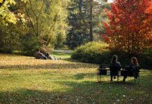 Будайський дендрарій — дім величних дерев і рідкісних чагарників