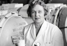 „A Napkirálynő” – Mária Telkes