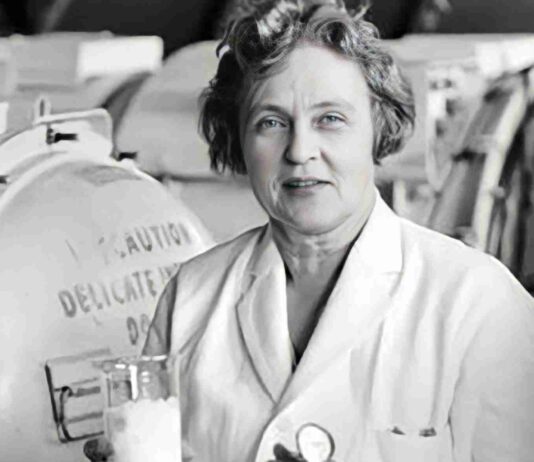 „A Napkirálynő” – Mária Telkes