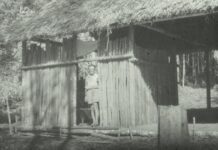 János Balogh — a tudós, aki meg akarta menteni a Földet