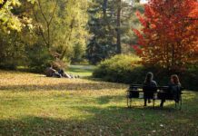 A Budai Arborétum – A fenséges fák és ritka cserjék otthona