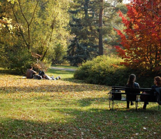 A Budai Arborétum – A fenséges fák és ritka cserjék otthona