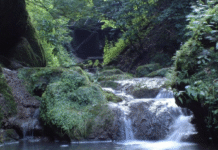 Ahol a víz zúg: a legszebb vízesések Budapest környékén