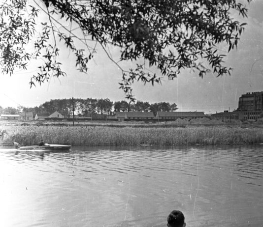 Золотое время Дуная: история рыбной промышленности в Будапеште