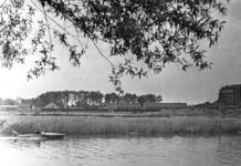 Золоті часи Дунаю: історія рибної промисловості у Будапешті