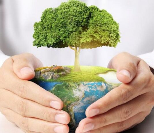 Борьба с изменением климата в Будапеште и регионе