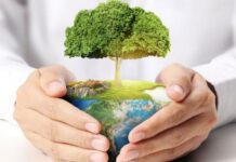 Klímaváltozás elleni küzdelem Budapesten és a régióban