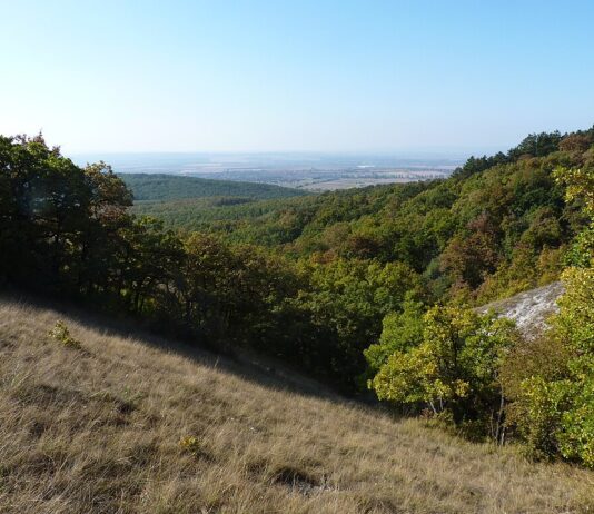 János-hegy: a Budai-hegység gyöngyszeme Budapesten