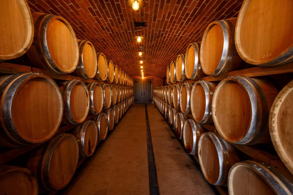 Modern borászati technológia