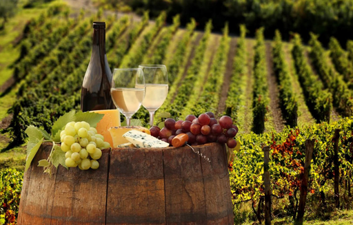 Szőlőültetvény drónos megfigyelése