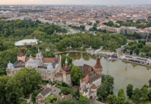 Зелені легенди Будапешта: дерева та рослини з історією