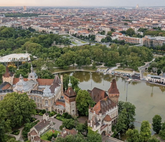Зелені легенди Будапешта: дерева та рослини з історією