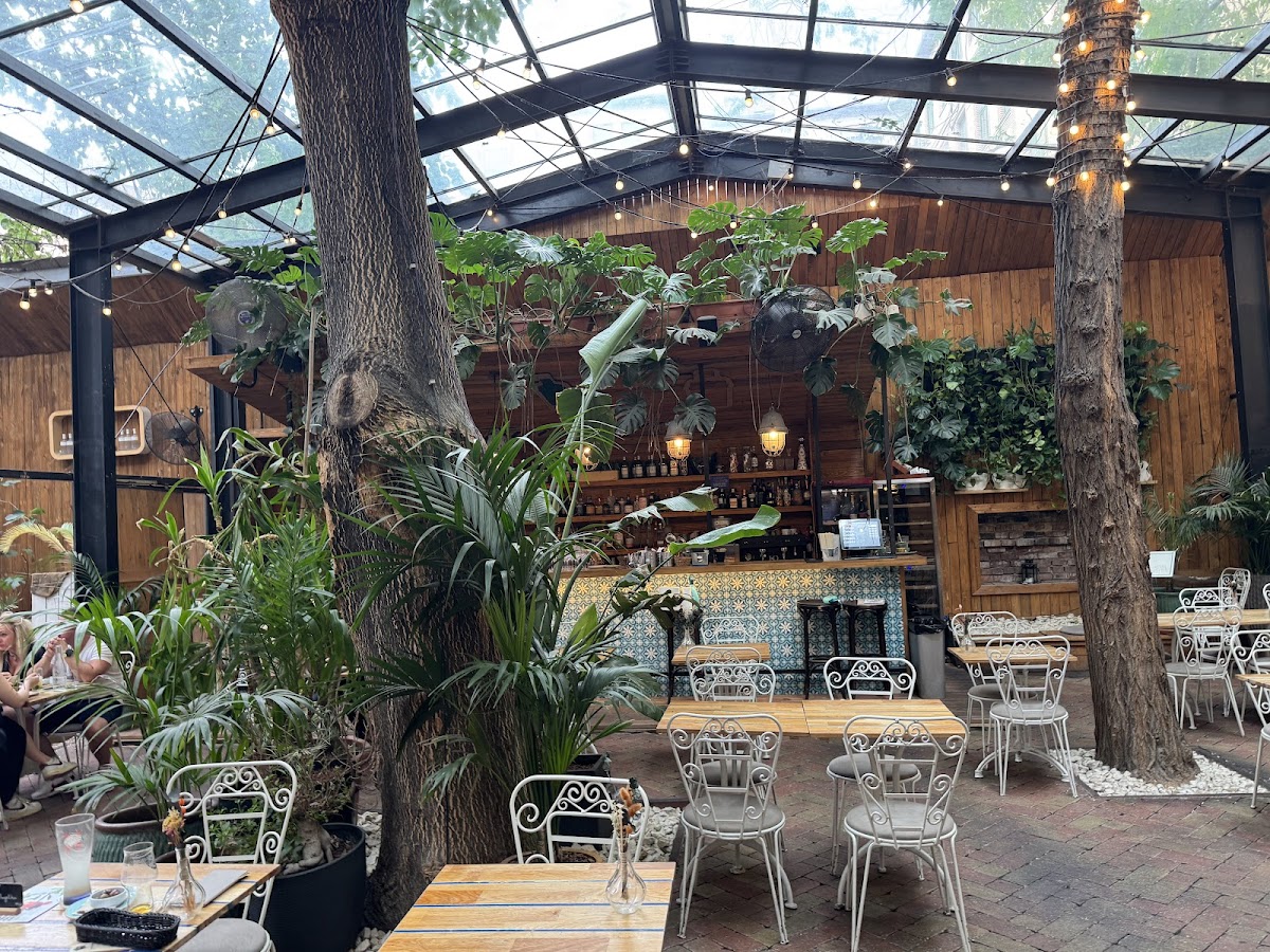 Mazel Tov — Restaurant