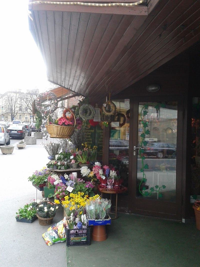 Boglar flowers