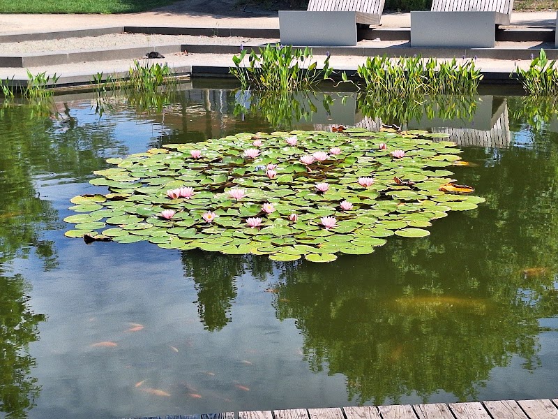 Мілленаріш (Millenáris Park)
