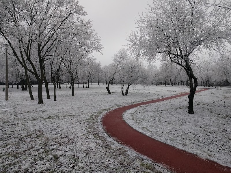 Огедь-парк (Óhegy park)