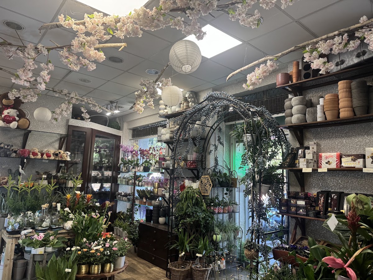 Szirom Virágküldés Budapest, Virágbolt a Nyugati mellett — Florist